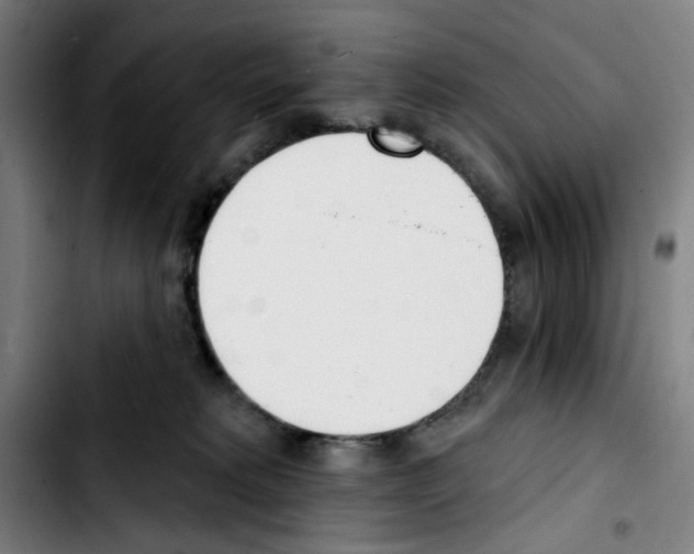 X0000103420229200810241042