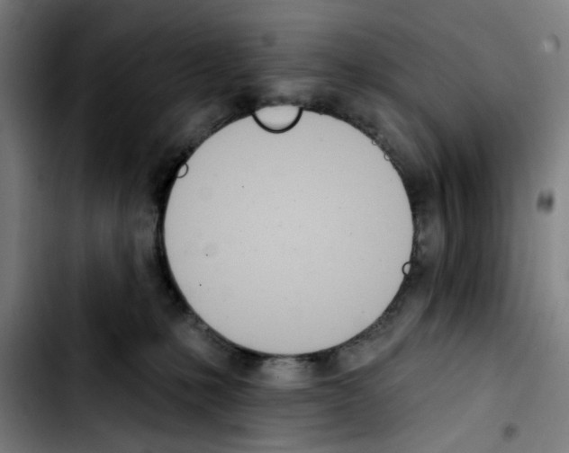 X0000103420231200810241042