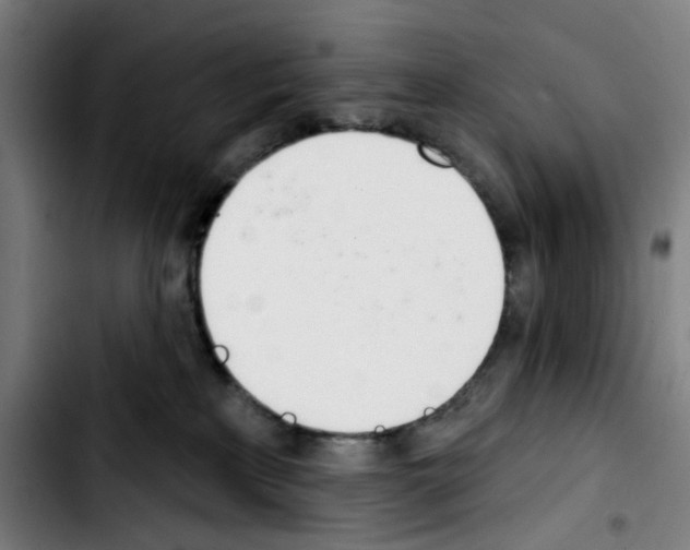 X0000103420233200810241042