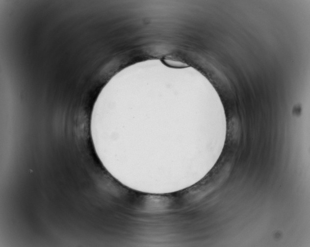 X0000103420234200810241042