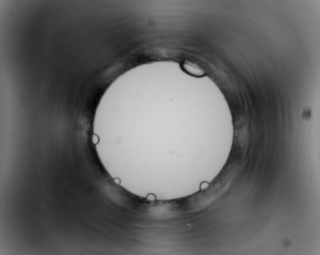 X0000103420235200810241042