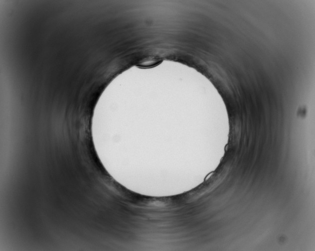 X0000103420236200810241042