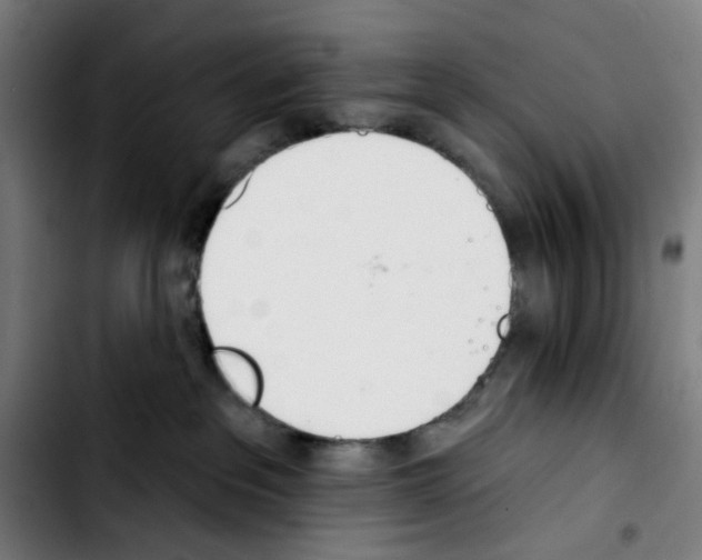 X0000103420237200810241042
