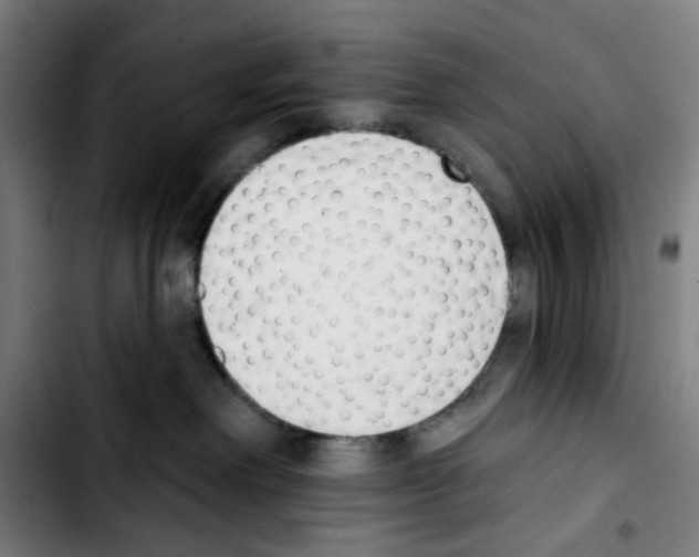 X0000103420238200810241042
