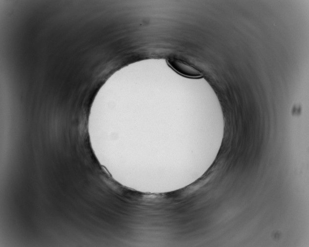 X0000103420240200810241042