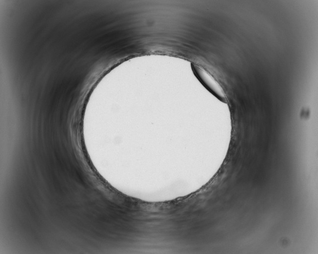 X0000103420241200810241041