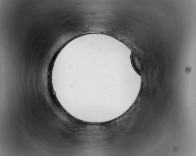 X0000103420242200810241041