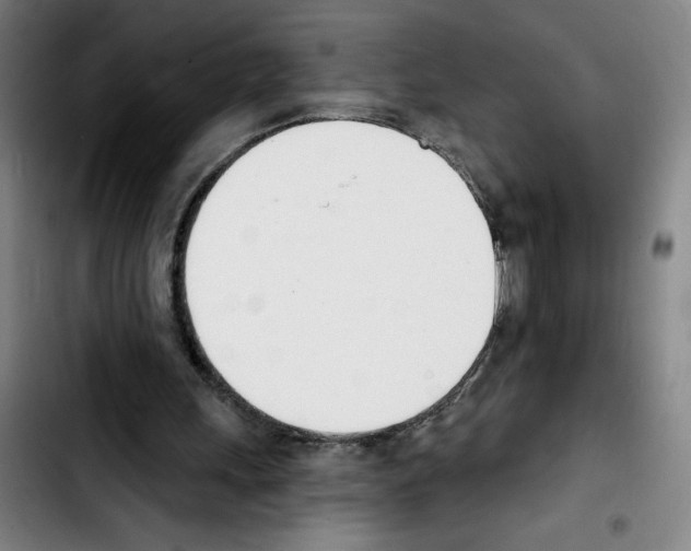 X0000103420243200810241041