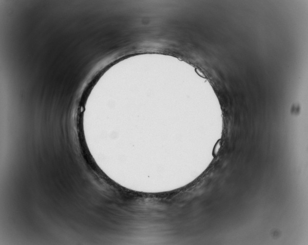 X0000103420244200810241041