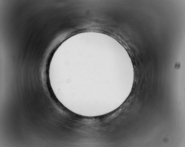 X0000103420245200810241041