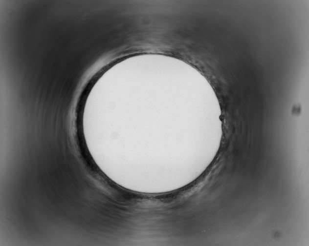 X0000103420246200810241041