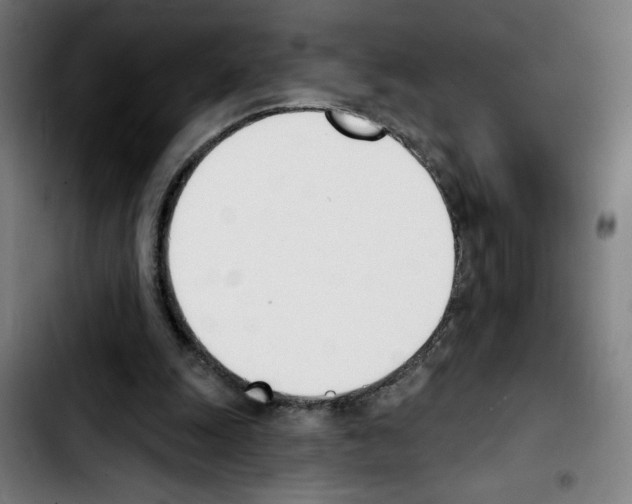X0000103420247200810241041