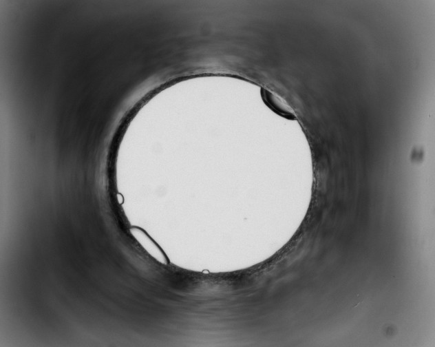 X0000103420248200810241041