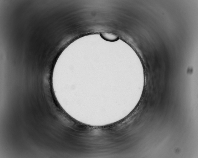 X0000103420249200810241041