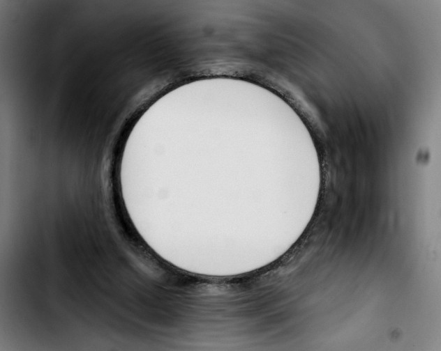 X0000103420250200810241041