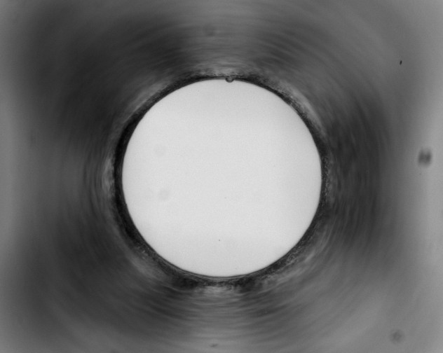 X0000103420251200810241041