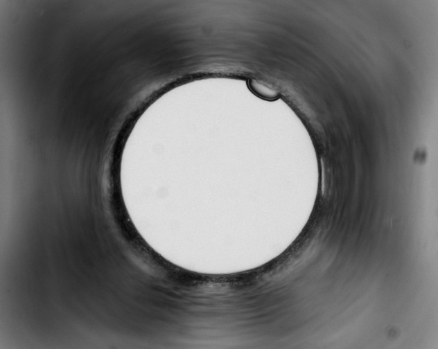 X0000103420252200810241041