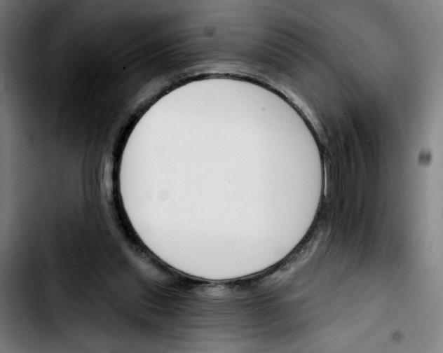 X0000103420253200810241041
