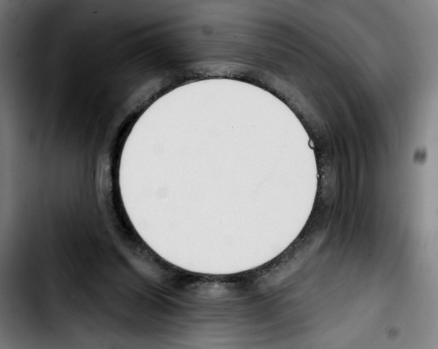 X0000103420254200810241041