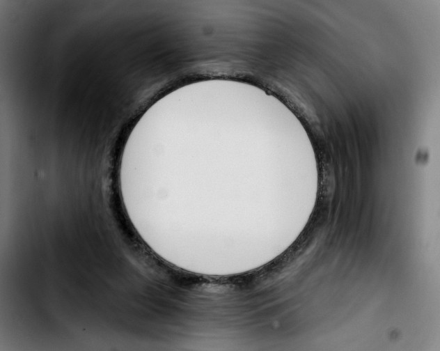 X0000103420255200810241041