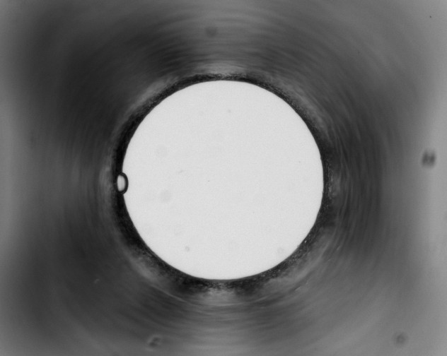 X0000103420256200810241041