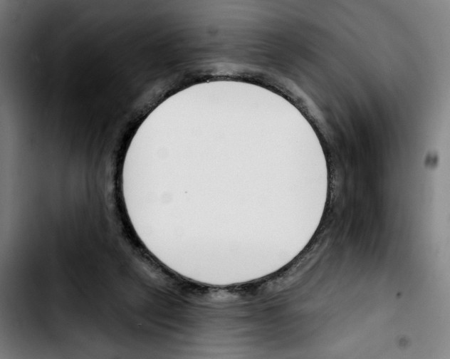 X0000103420257200810241041