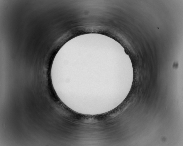 X0000103420258200810241041