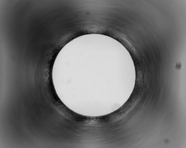 X0000103420259200810241041
