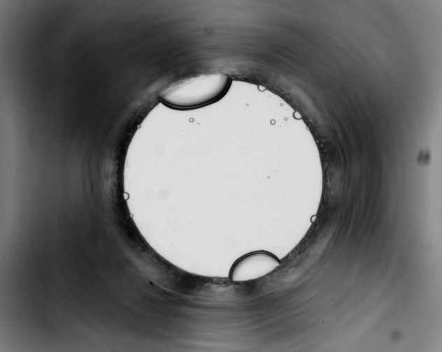X0000103420260200810241041
