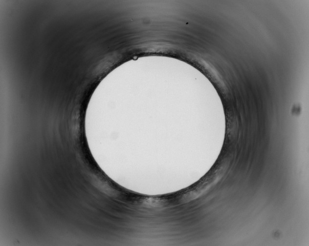 X0000103420261200810241041