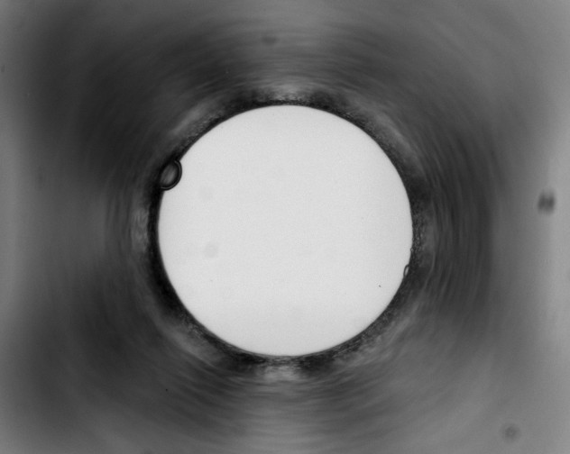 X0000103420262200810241041