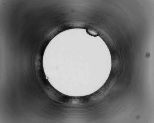 X0000103420264200810241041