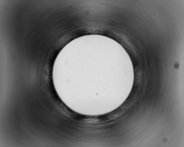 X0000103420266200810241041