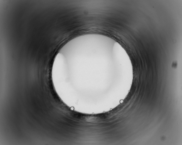 X0000103420268200810241041