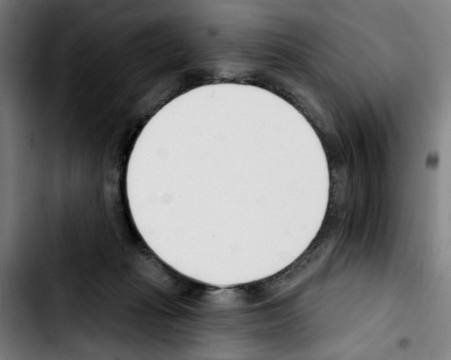 X0000103420269200810241041