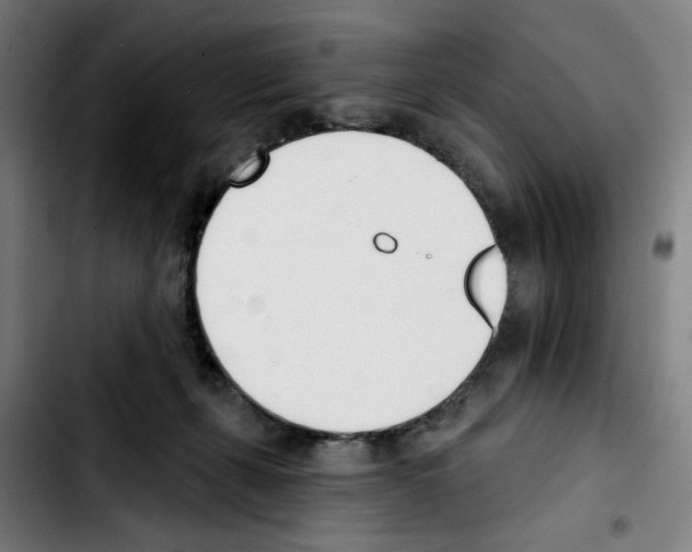 X0000103420271200810241041