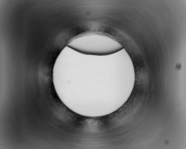 X0000103420272200810241041
