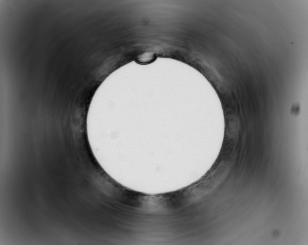 X0000103420273200810241041