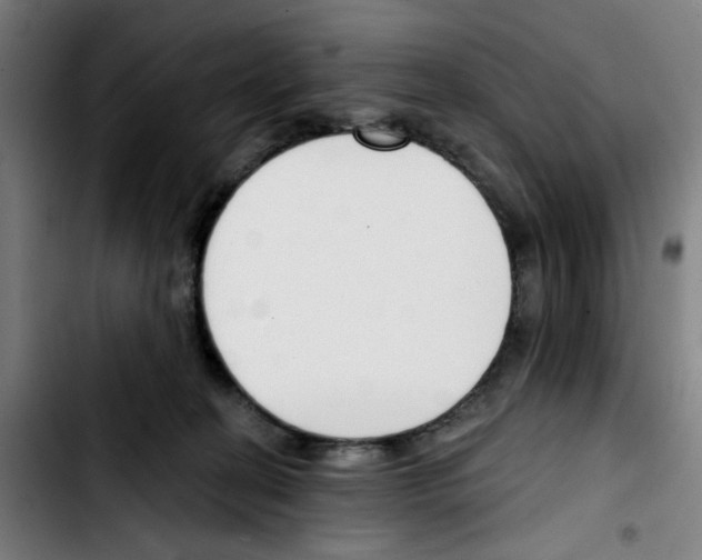 X0000103420274200810241041