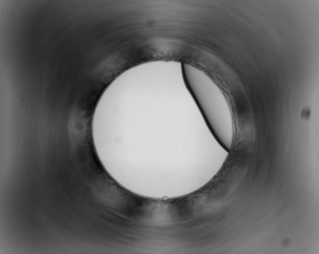 X0000103420276200810241042