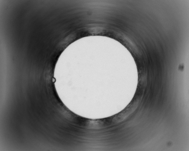 X0000103420277200810241042