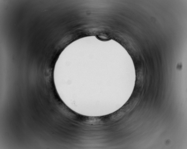 X0000103420278200810241042