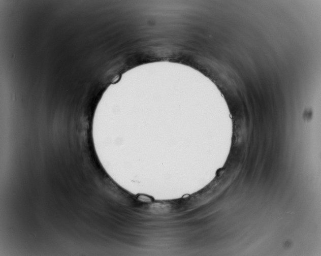 X0000103420279200810241042