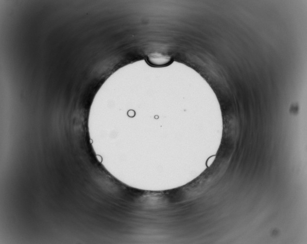 X0000103420280200810241042