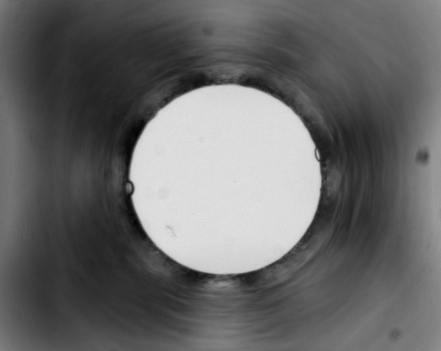 X0000103420283200810241042