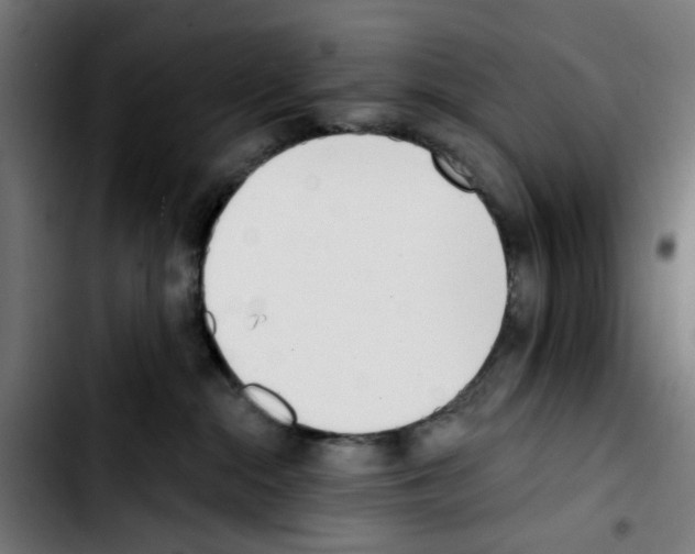 X0000103420284200810241042