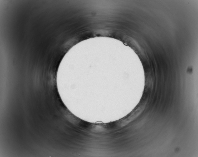 X0000103420285200810241042