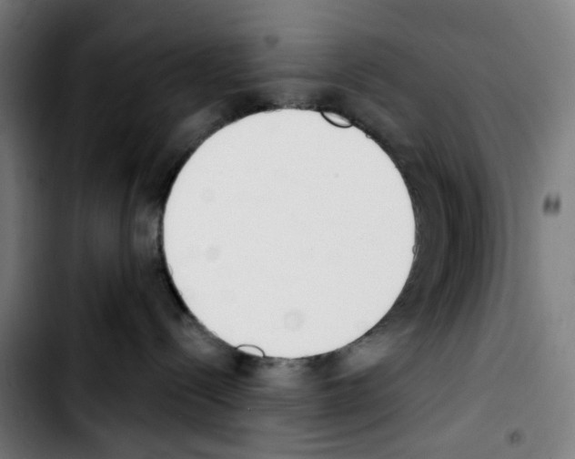 X0000103420288200810241042