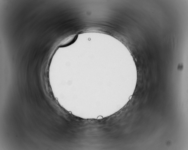 X0000103420289200810241041