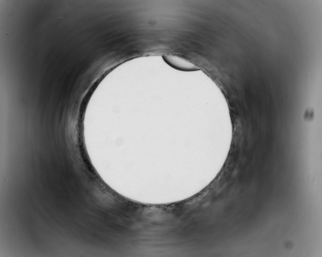 X0000103420290200810241041